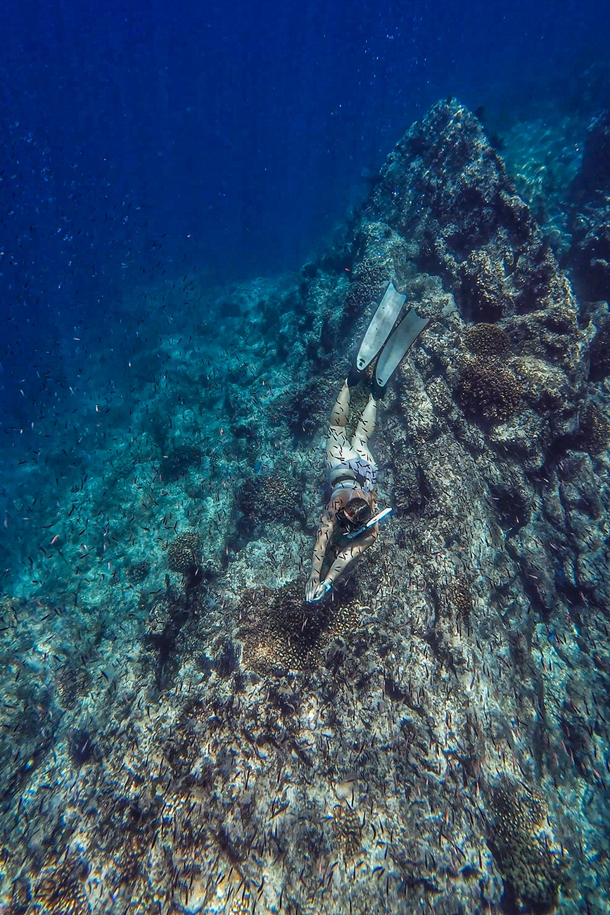 Ocean Safari